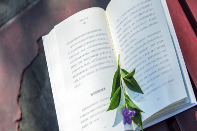 浙江大學在職研究生