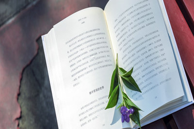 浙江大學(xué)在職研究生