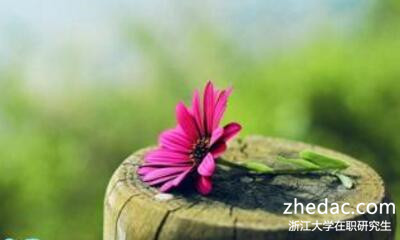 浙江大學(xué)在職研究生 浙江大學(xué)在職研究生