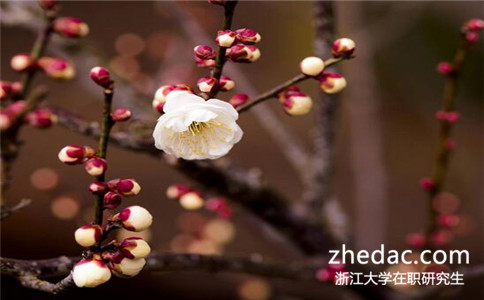 2017年浙江大學(xué)在職研究生招生情況