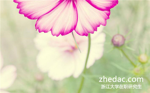 ??茖W(xué)歷可以報(bào)考浙江大學(xué)在職研究生嗎