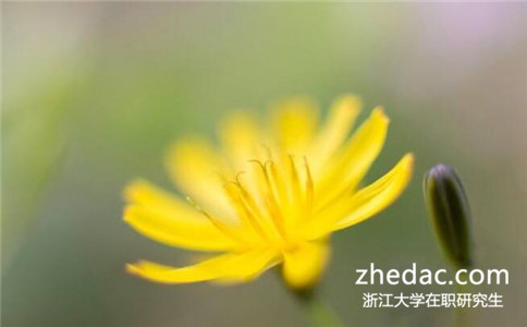畢業(yè)幾年可以報考浙江大學(xué)在職研究生
