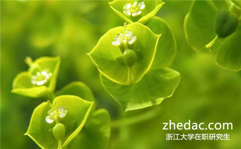 浙江大學在職研究生學費貴嗎