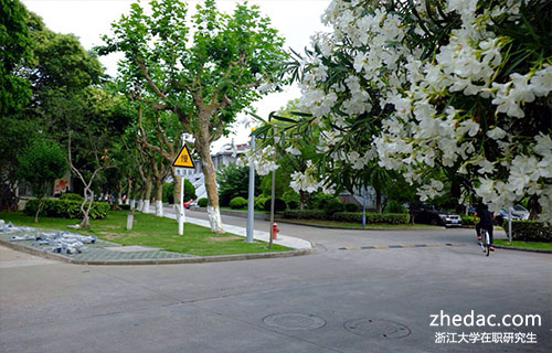 浙江大學(xué)在職研究生可以換專業(yè)嗎?