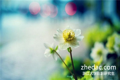 2018年報(bào)考浙江大學(xué)在職研究生有沒有用？