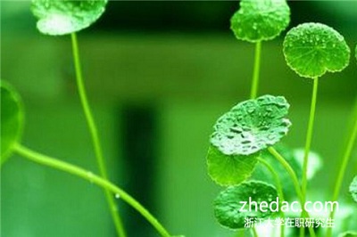 浙江大學在職研究生畢業(yè)可以獲得雙證嗎？
